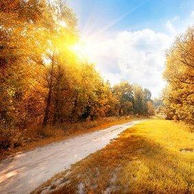 (展欧典)深夜是谁的电话响