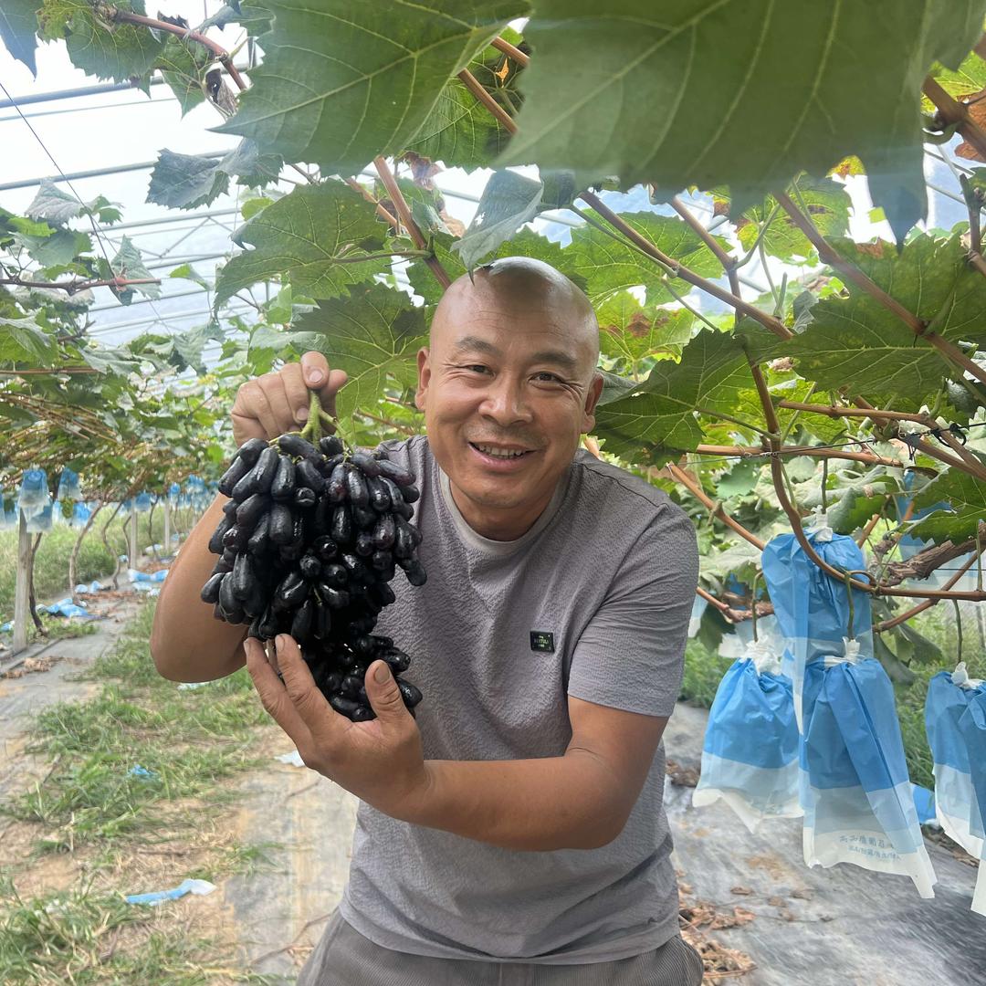 陈强家庭农场