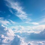 新城农祯品牌号