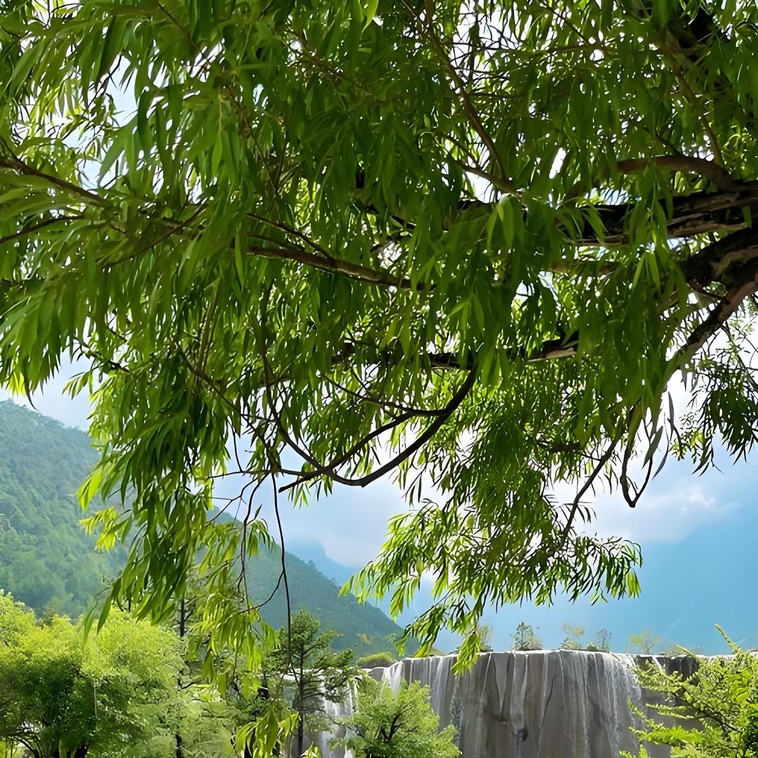南昌市冠西企业myu直播号
