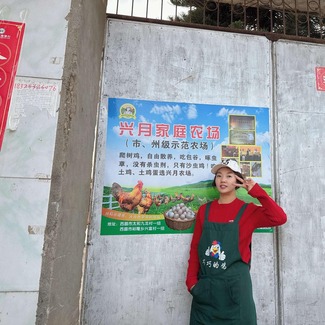 露西  养鸡西施