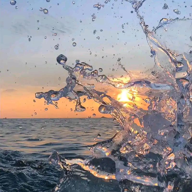 探寻餐饮官方账号