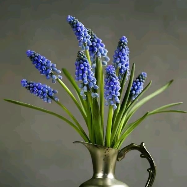 诗碧曼（下沙kkone专柜）