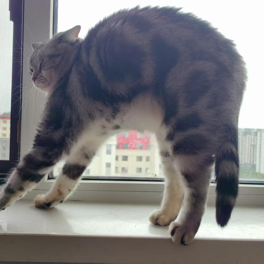 延边优选官方号