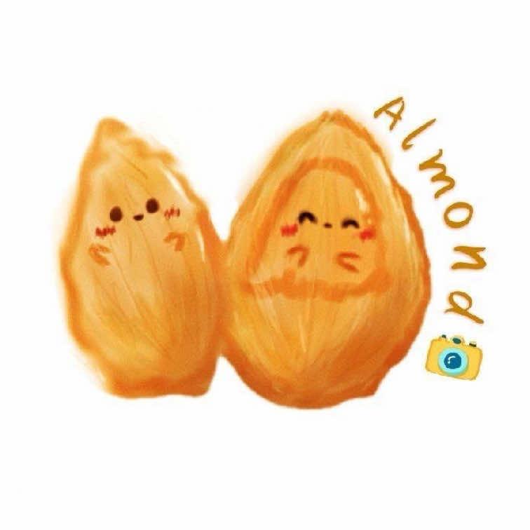 杏仁摄影