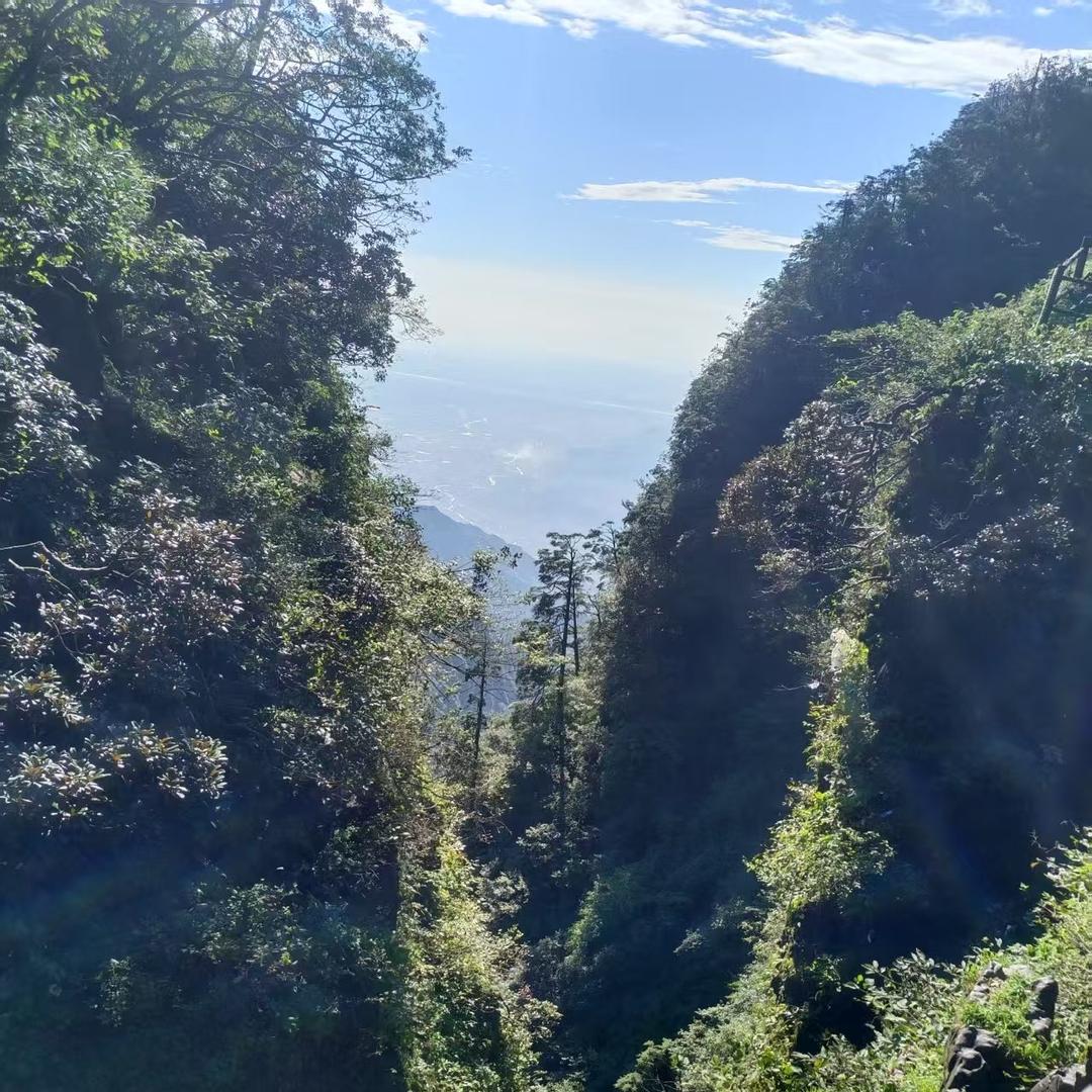 金胜便利店(工业街店)深圳市辉窝贸易营销号
