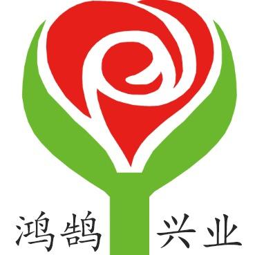 绿叶红花花卉
