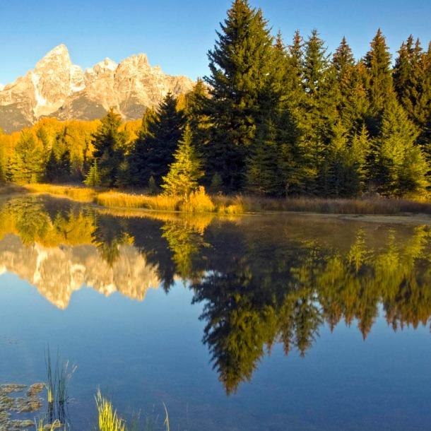 新兴世纪超市燕燕直播号