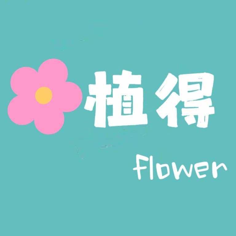 哈尔滨市南岗区植得鲜花店