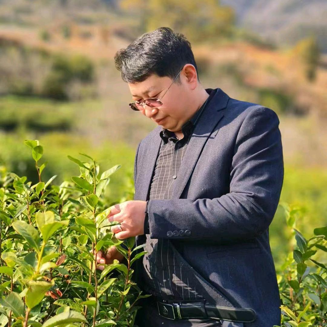 卧龍茶庄鹏哥