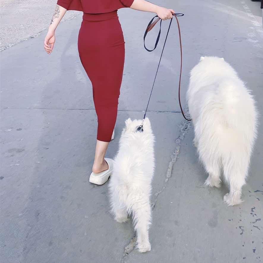 晴晴·萌宠小铺官方号