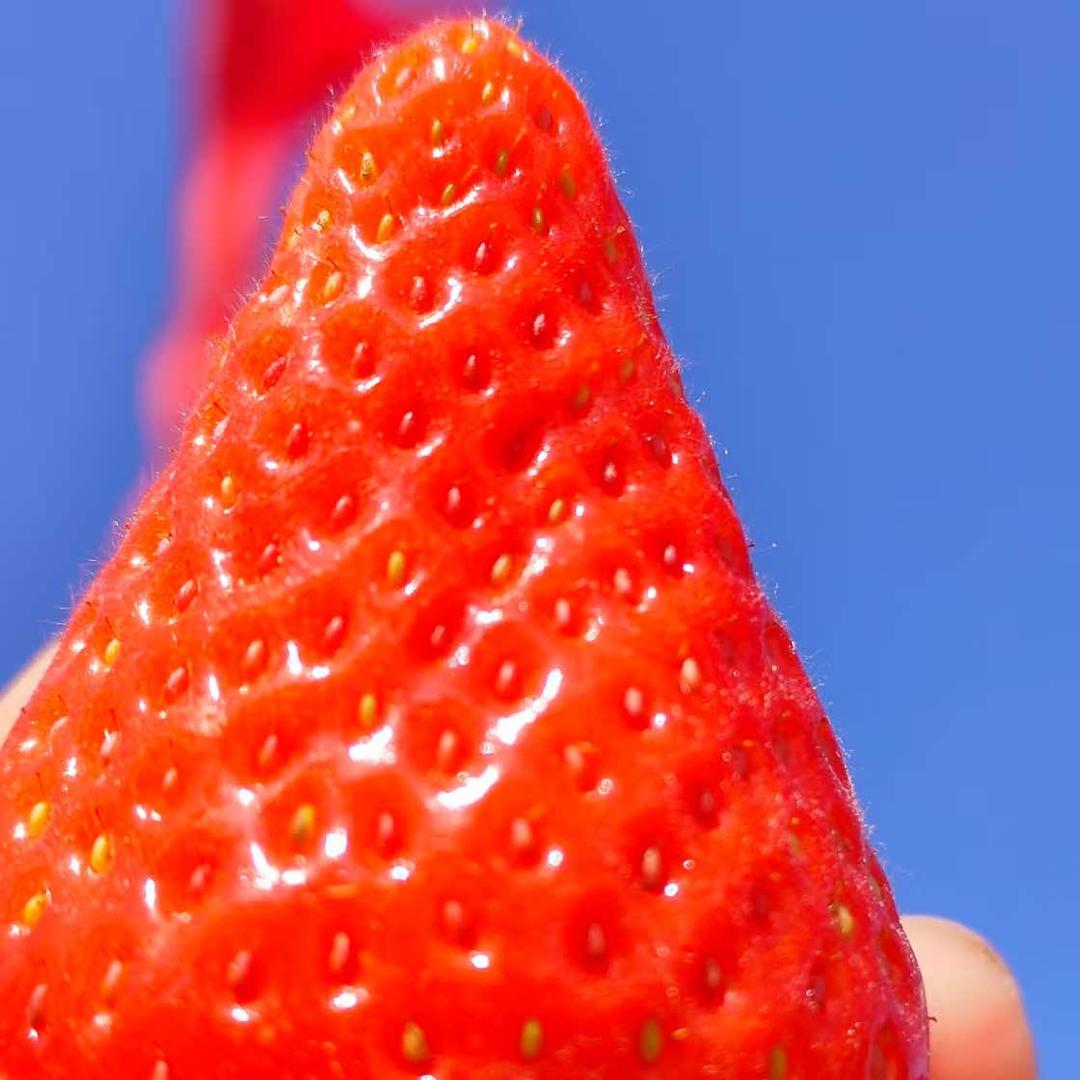 北京悦美家庭农场