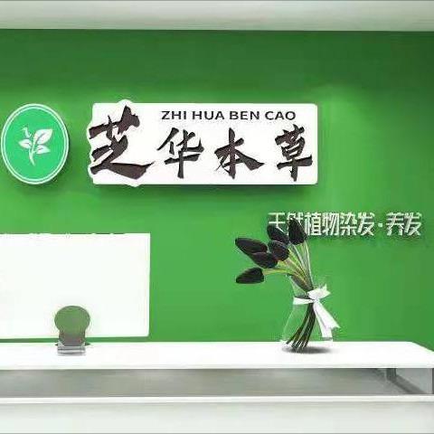 植物染发养发秋菊