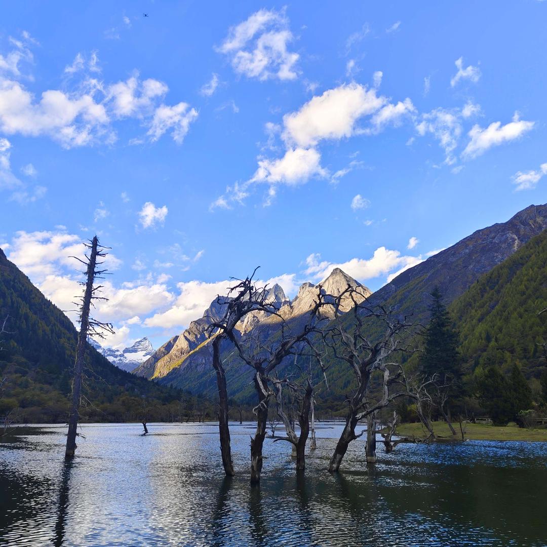 尧波小云百货号