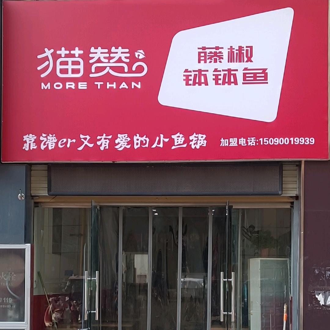 猫赞藤椒钵钵鱼官方号