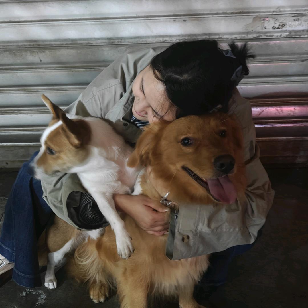 洗刷刷宠物店
