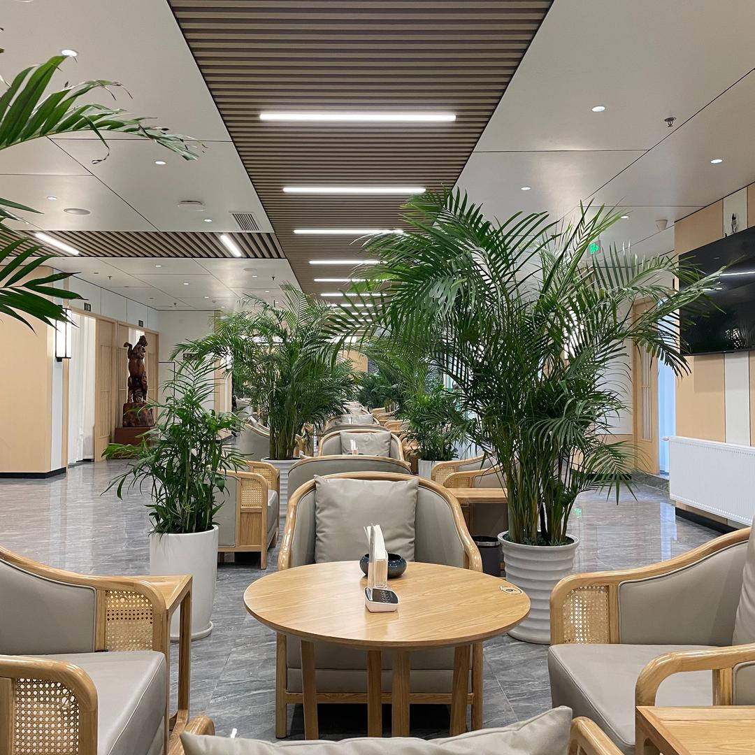 金鑫一号茶府·创山红