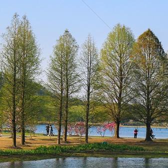 O乌鲁木齐盈涵苑商贸直播号