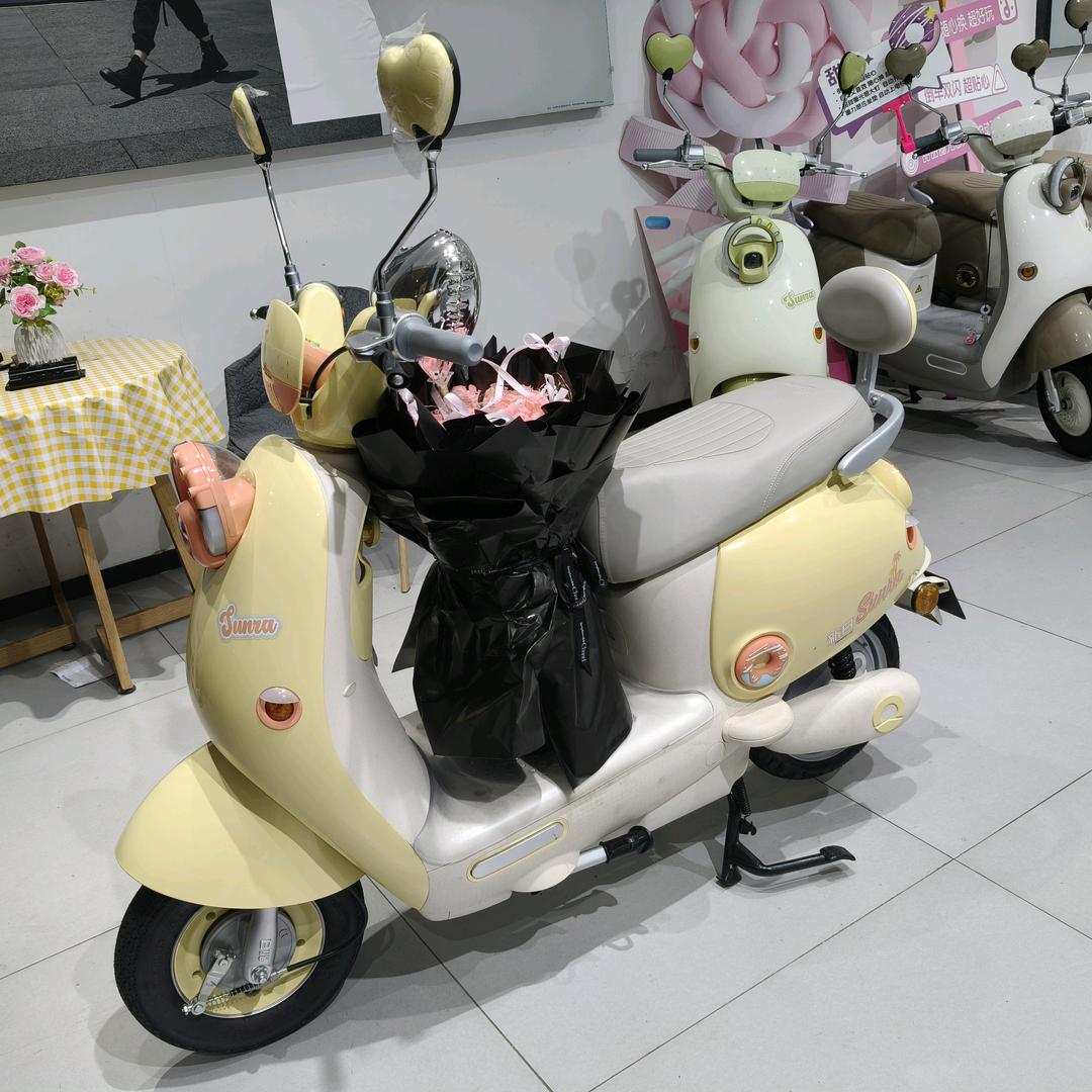 新日电动车(黄泥坝店)