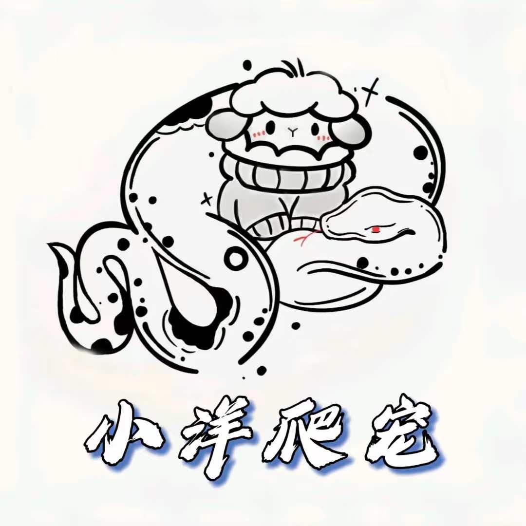 小洋爬宠（有实体店版）