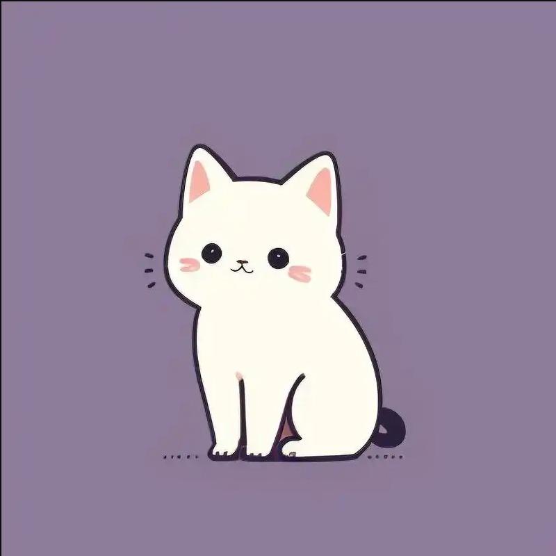 向小米