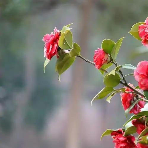 东莞中堂官记批发零售.东莞市濮赵有限公司