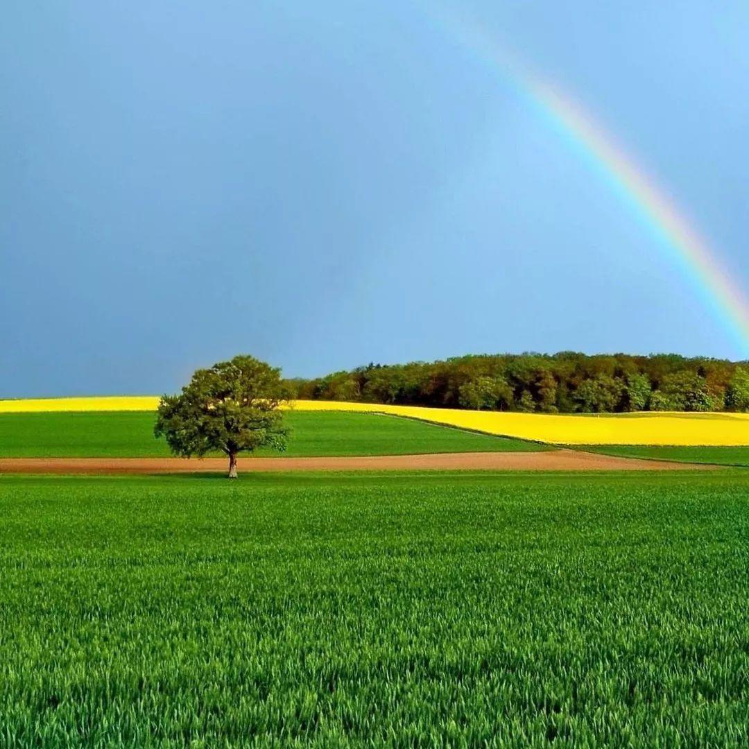 昱晴（二师兄摸鱼）