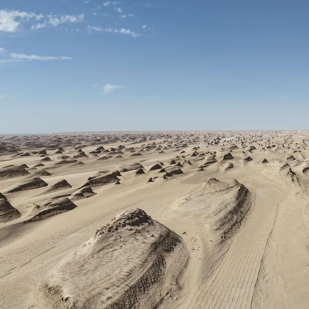 卡城老王为卡友