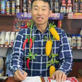 东北铁锅炖鱼村(青年路店)官方号