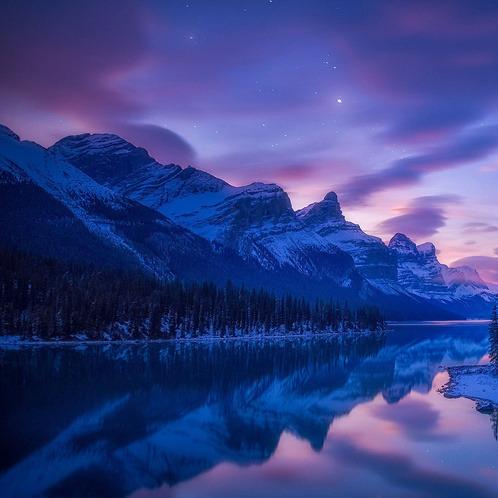 峰到和龙华运营小鸟直播号