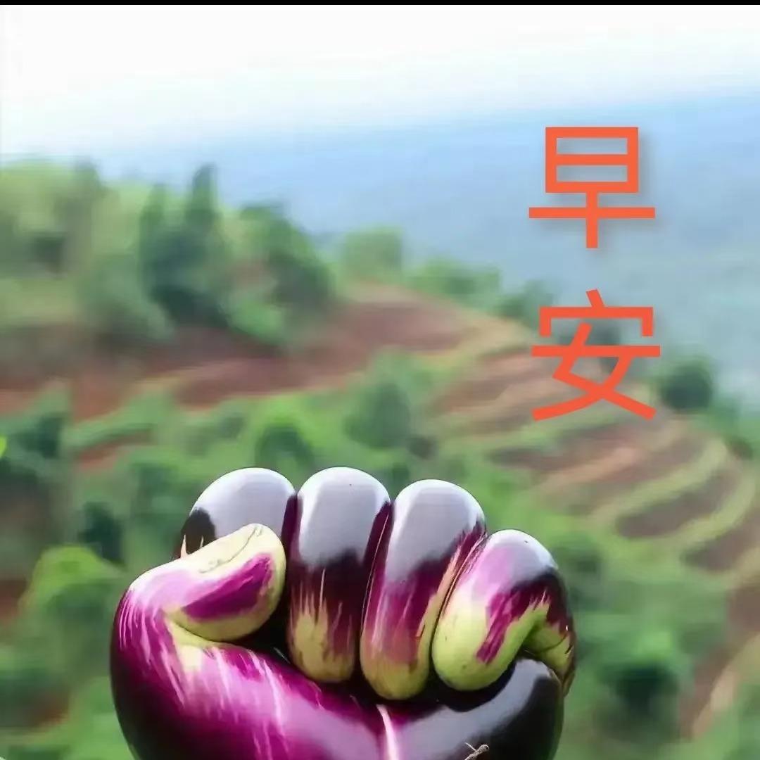 抖动洗刷刷西苑洗车店昆明蝉淳商贸有限公司