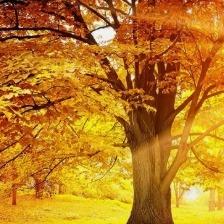 共程便利店(星桥南路店)官方号