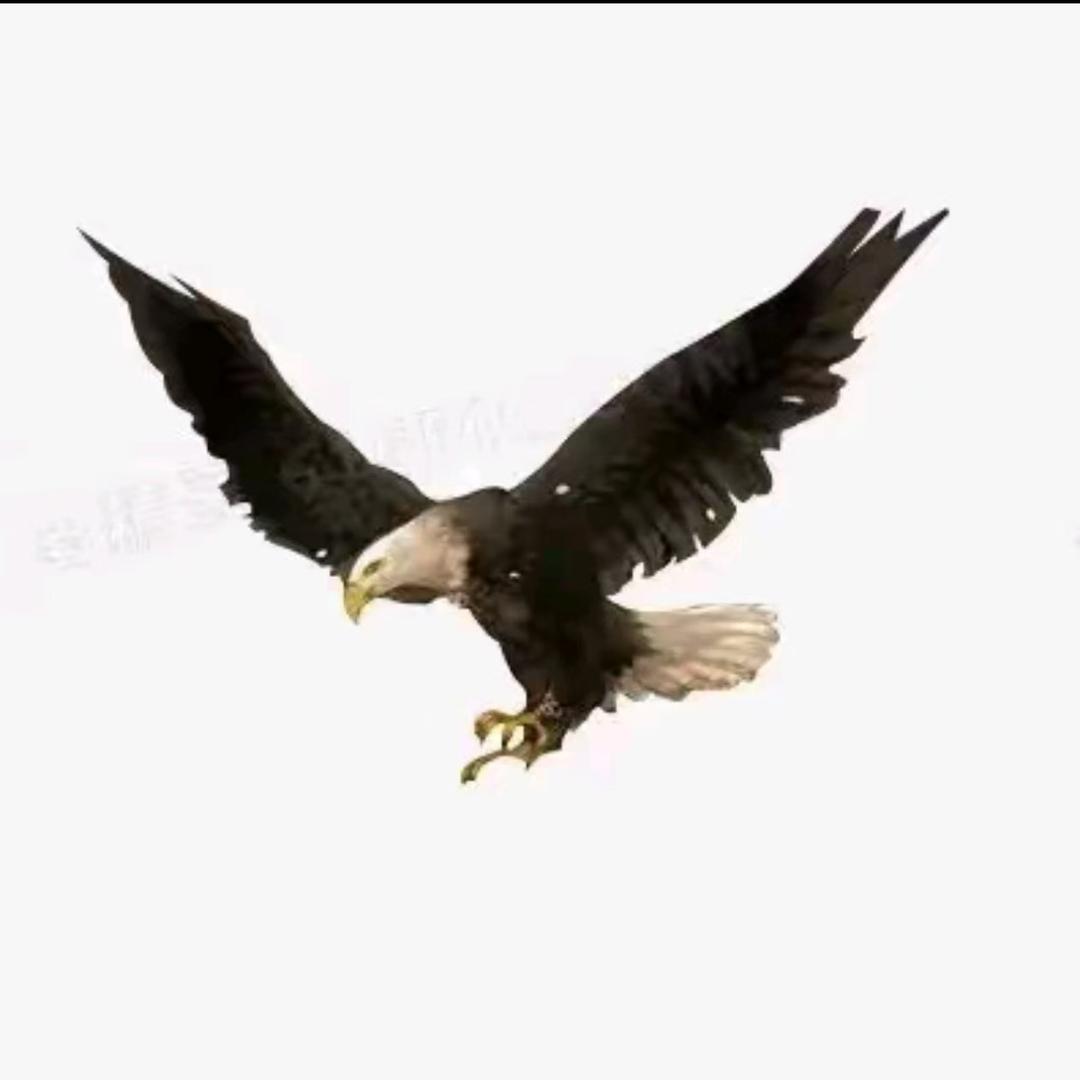 肇庆·敏捷城超市盛宏传媒直播号