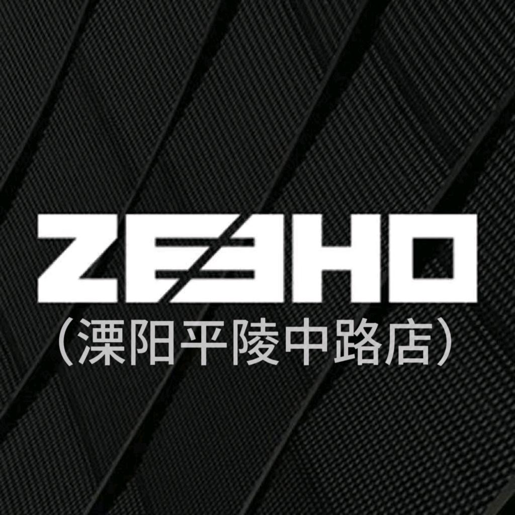 ZEEHO极核电动(平陵中路店)专用号