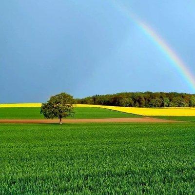 北京丰创宏源商贸开播号