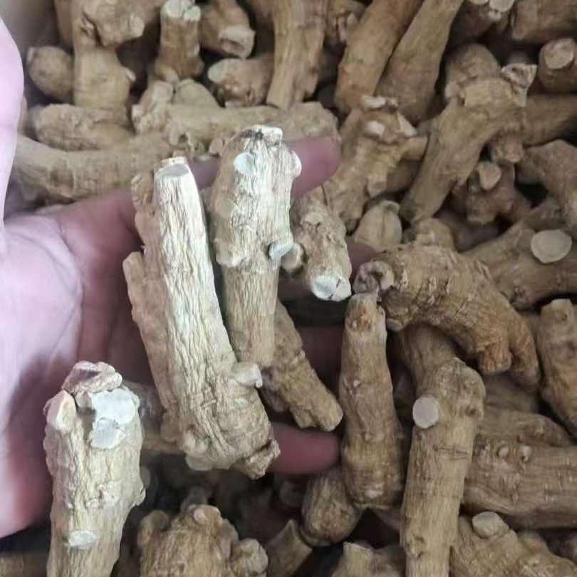 老翁精选滋补品经营号