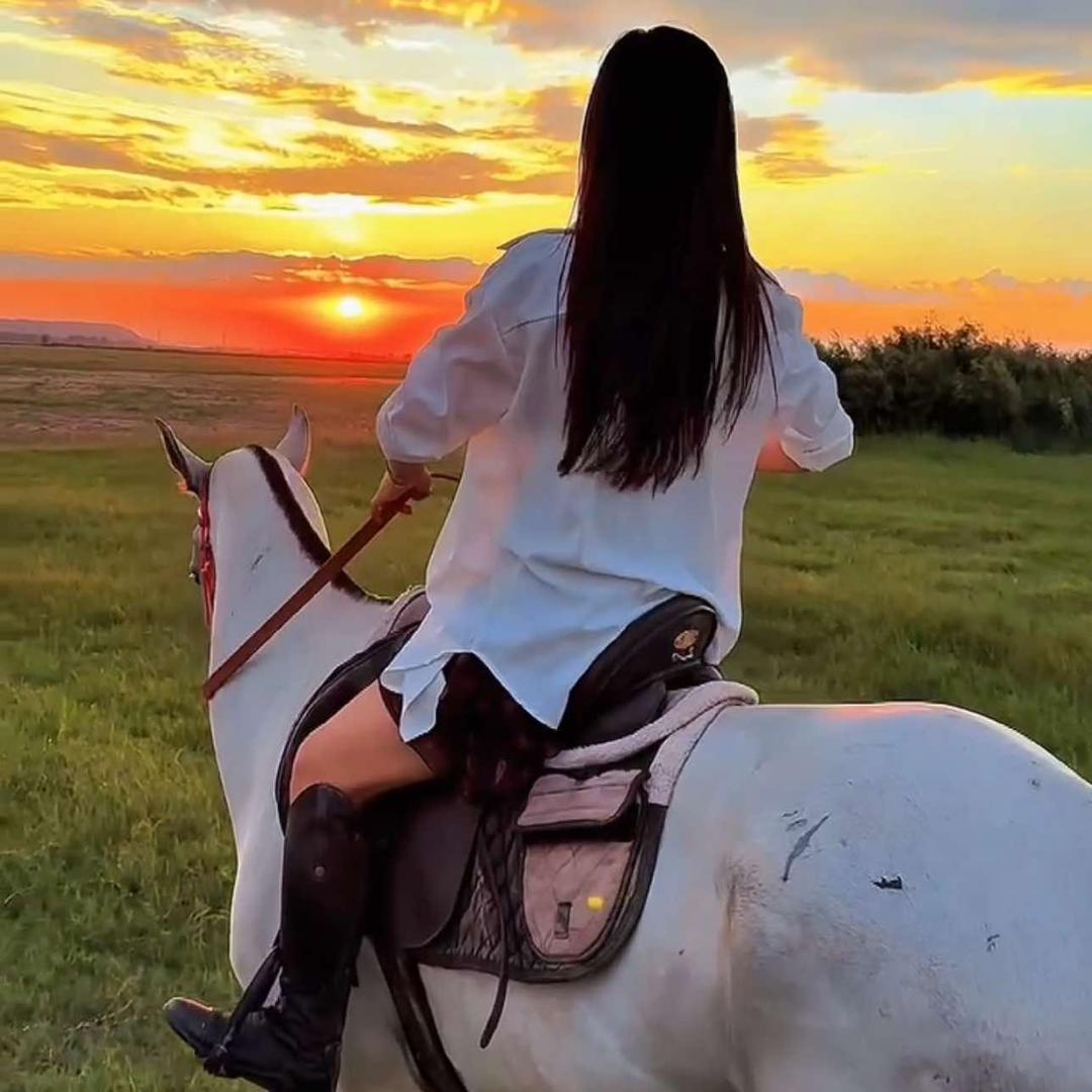 美少女野骑营地.