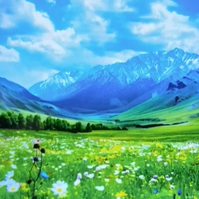 广西朴力生信息技术有限公司推广号