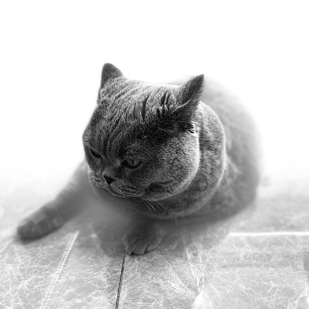 米斓圣娅护肤私人定制