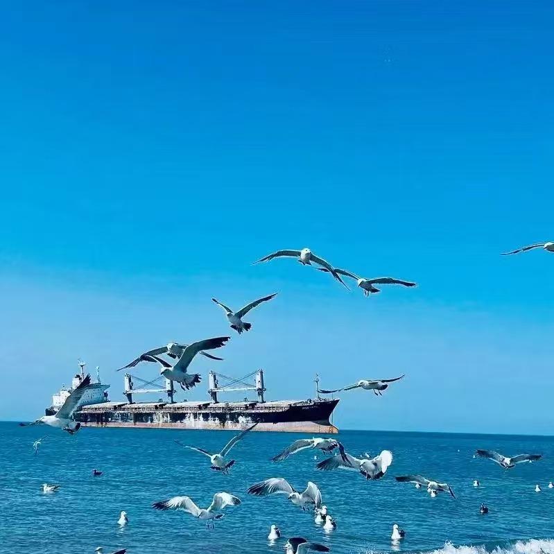 品途国际旅行社