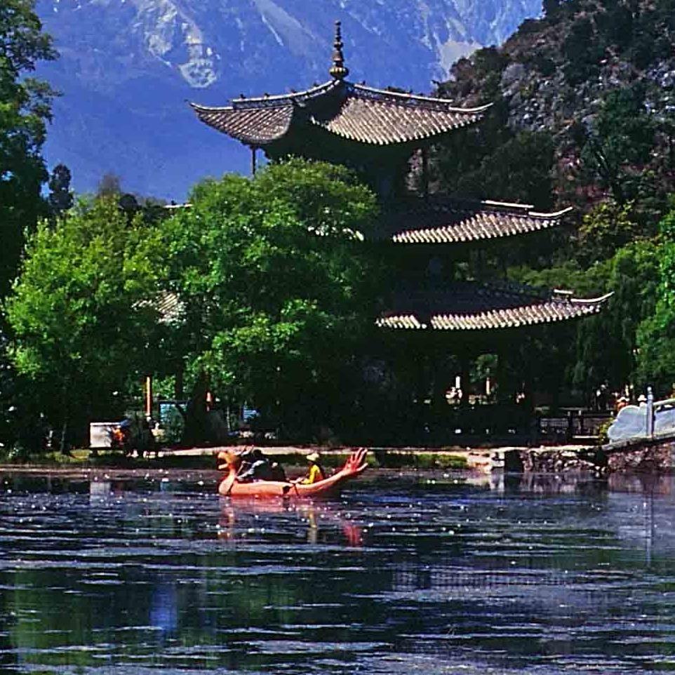 问道手游的直播号