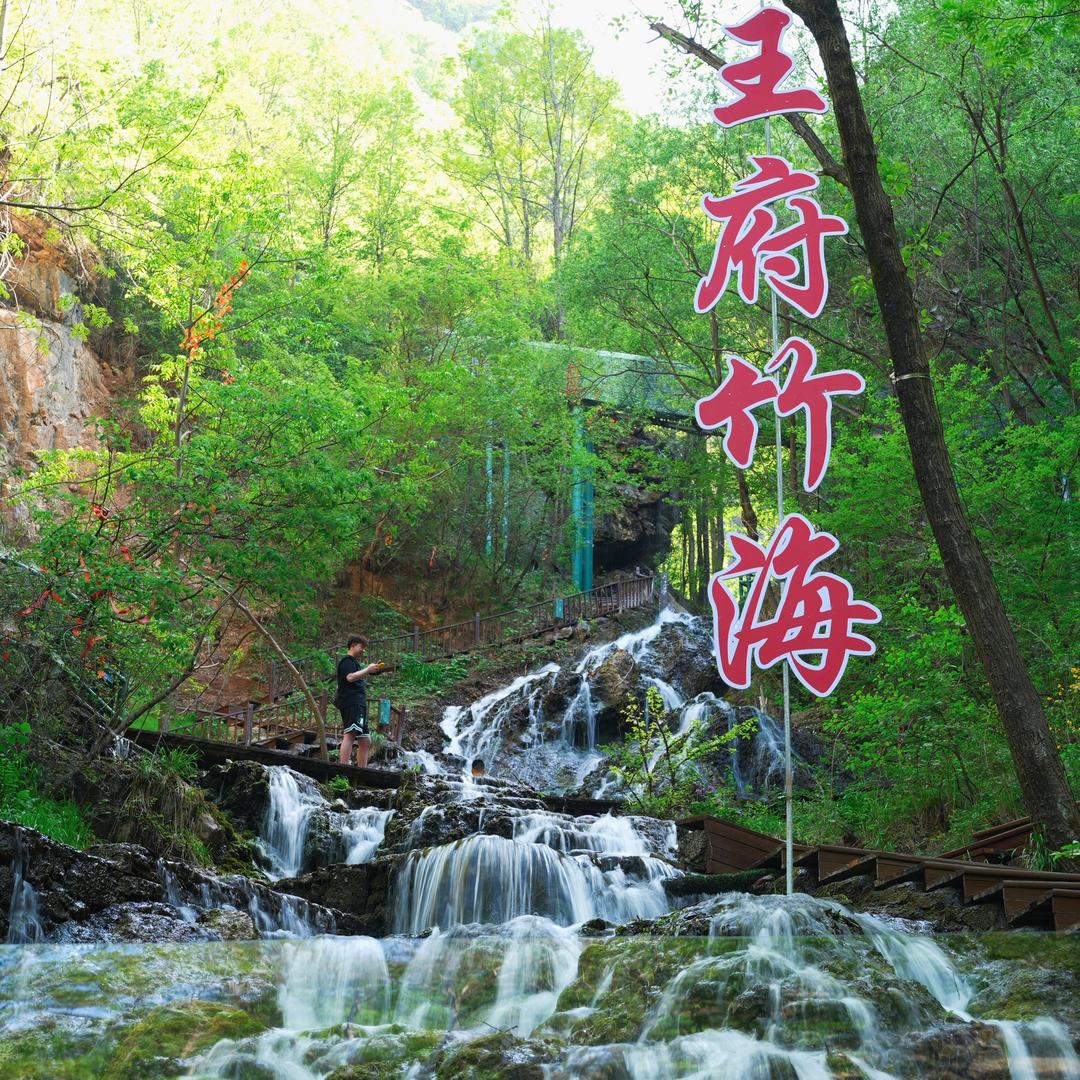王府竹海度假旅游区直播号