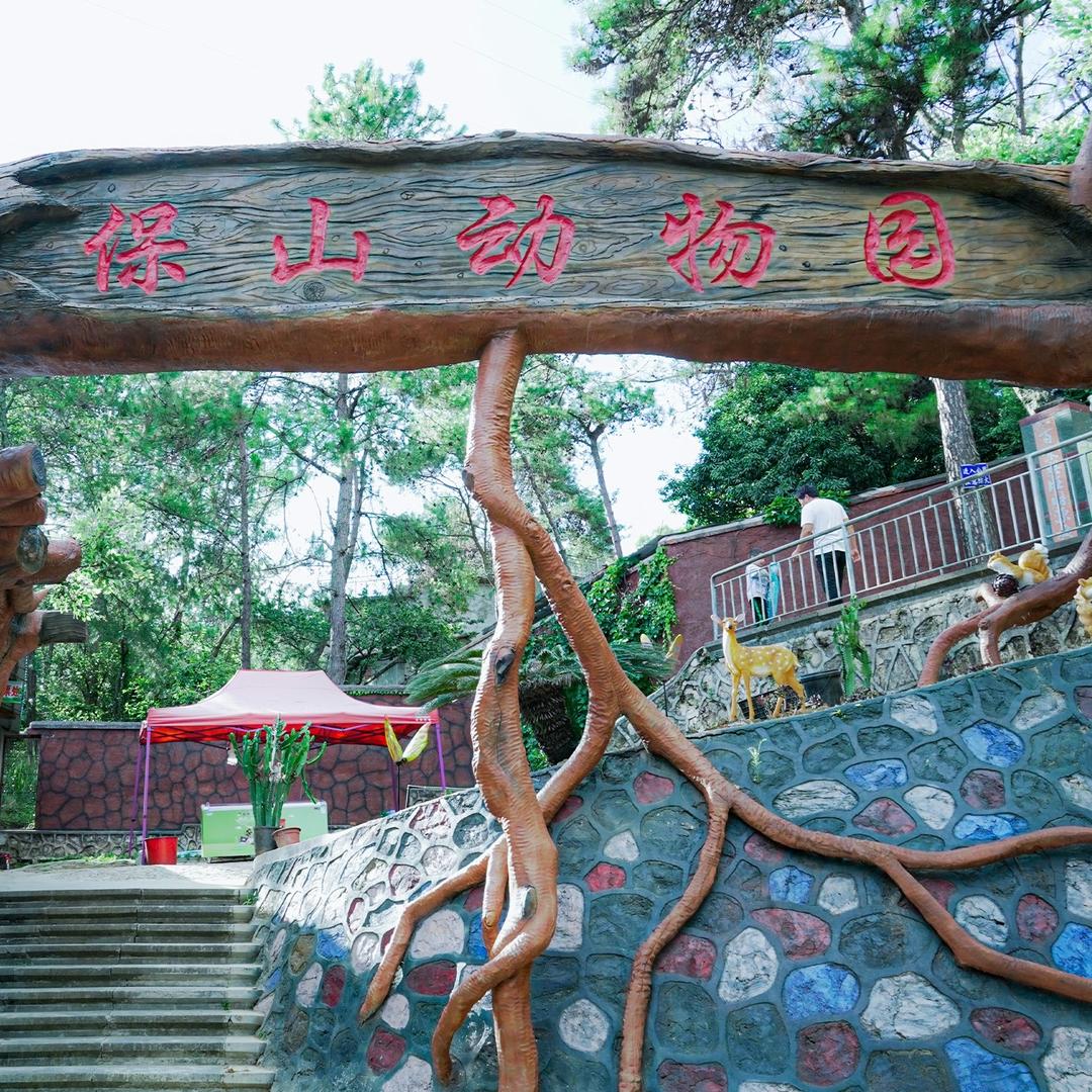 太保公园动物园官方号