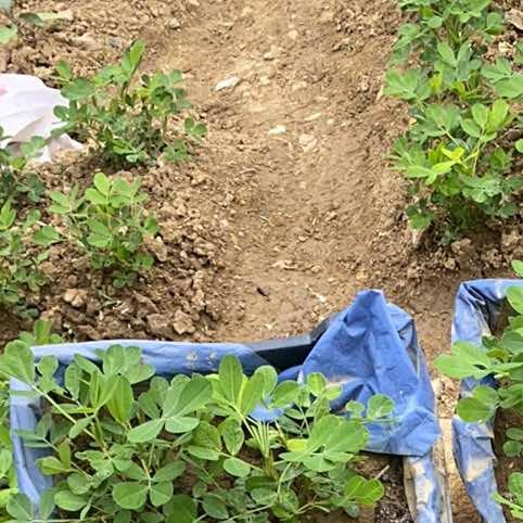 馨碓商贸零食号