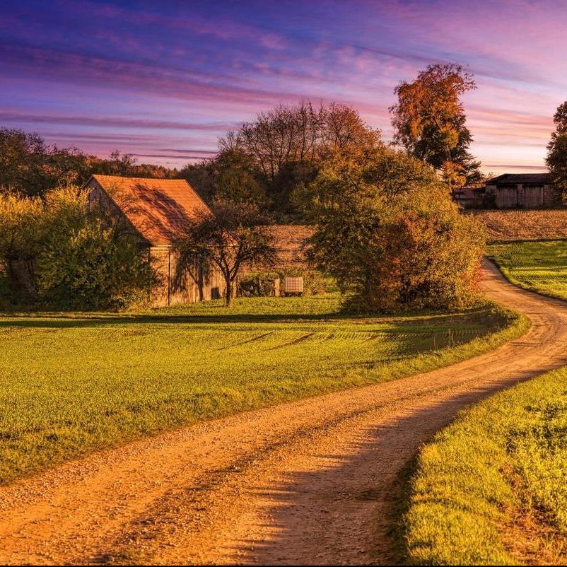 广州郭棠欢商贸贰直播号