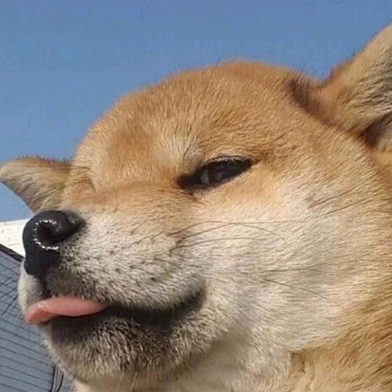 快快狗酒水