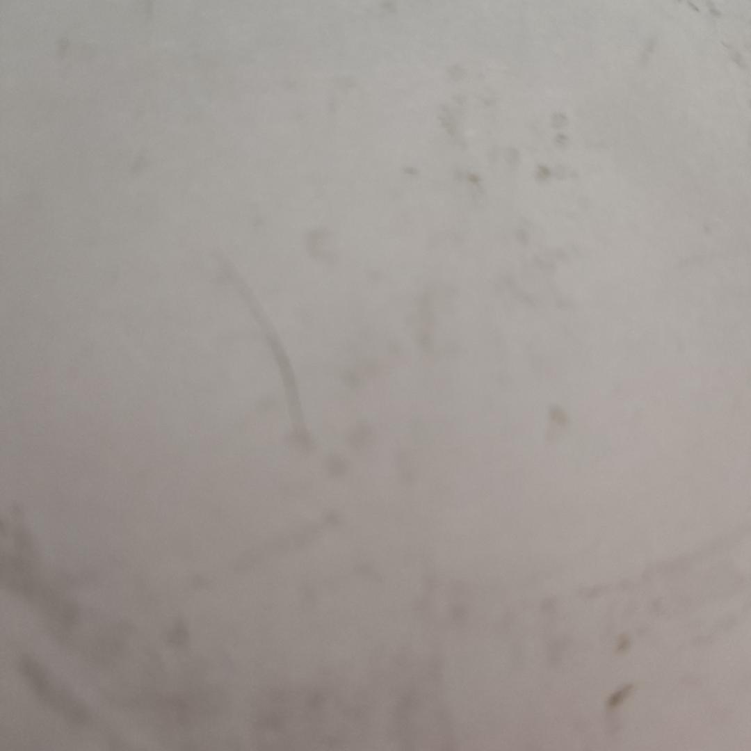 广州柳圣宁电子商务有限公司zes直播号