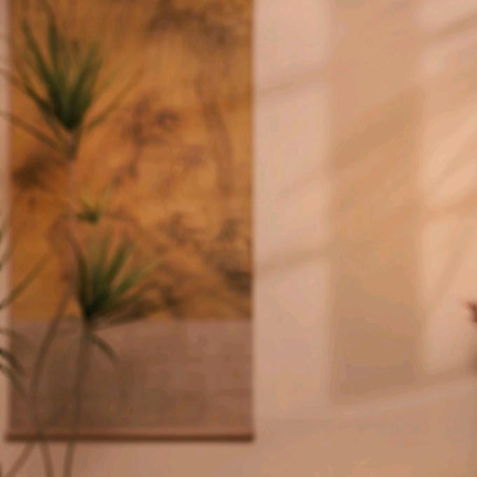 鉴往知来福利号