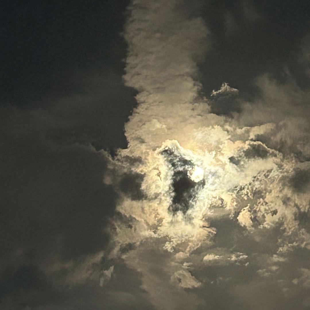 能晶清风直播号