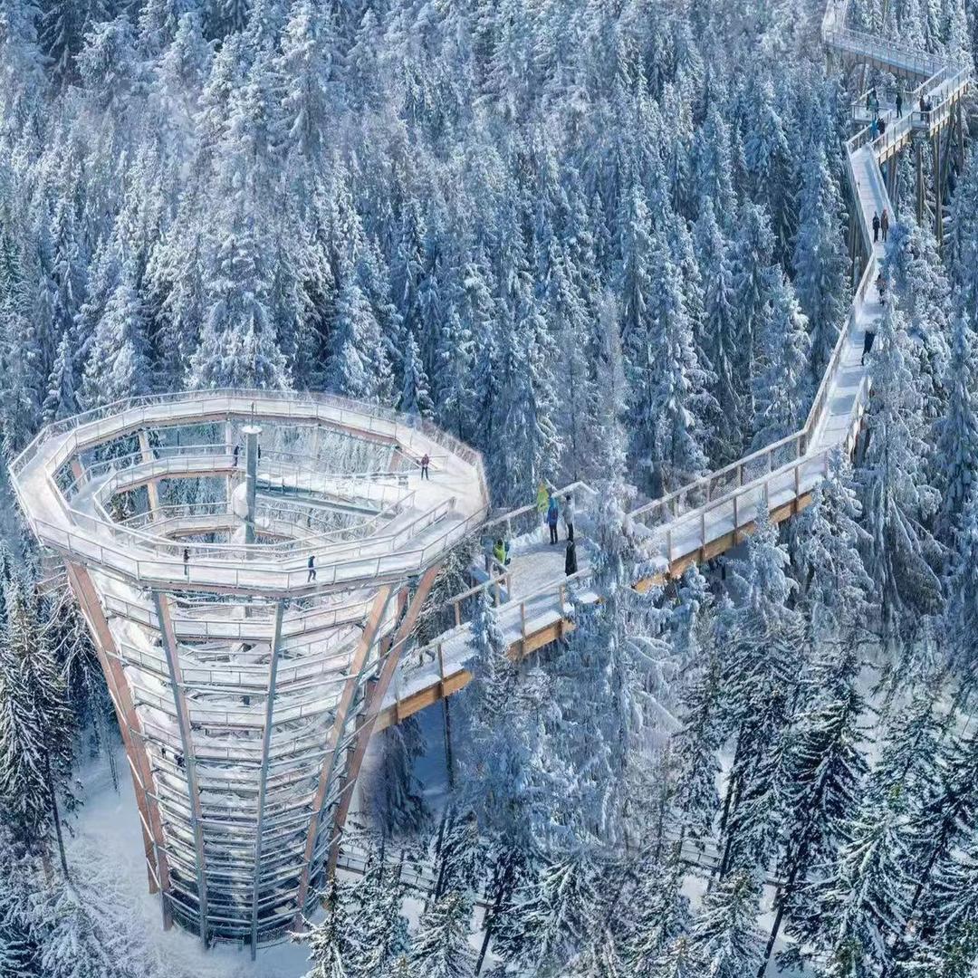 仙女山树顶漫步（蹲雪中）